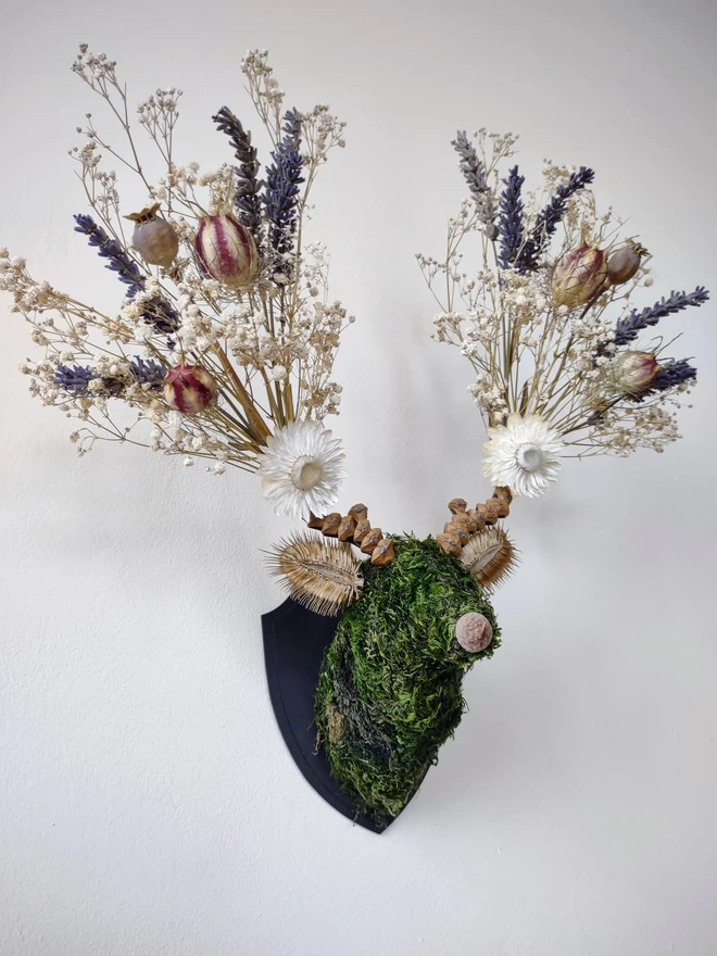 Cotswold Flora Botanical Stag Head Wall Mount Handmade Dried Flower Sustainable Art in The Cotswolds