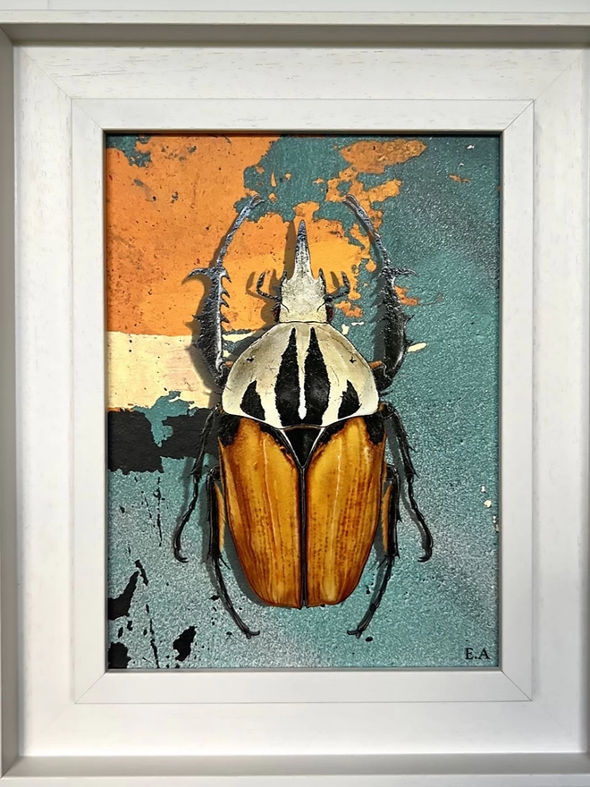 African flower beetle, Urban Abstract in white wooden frame