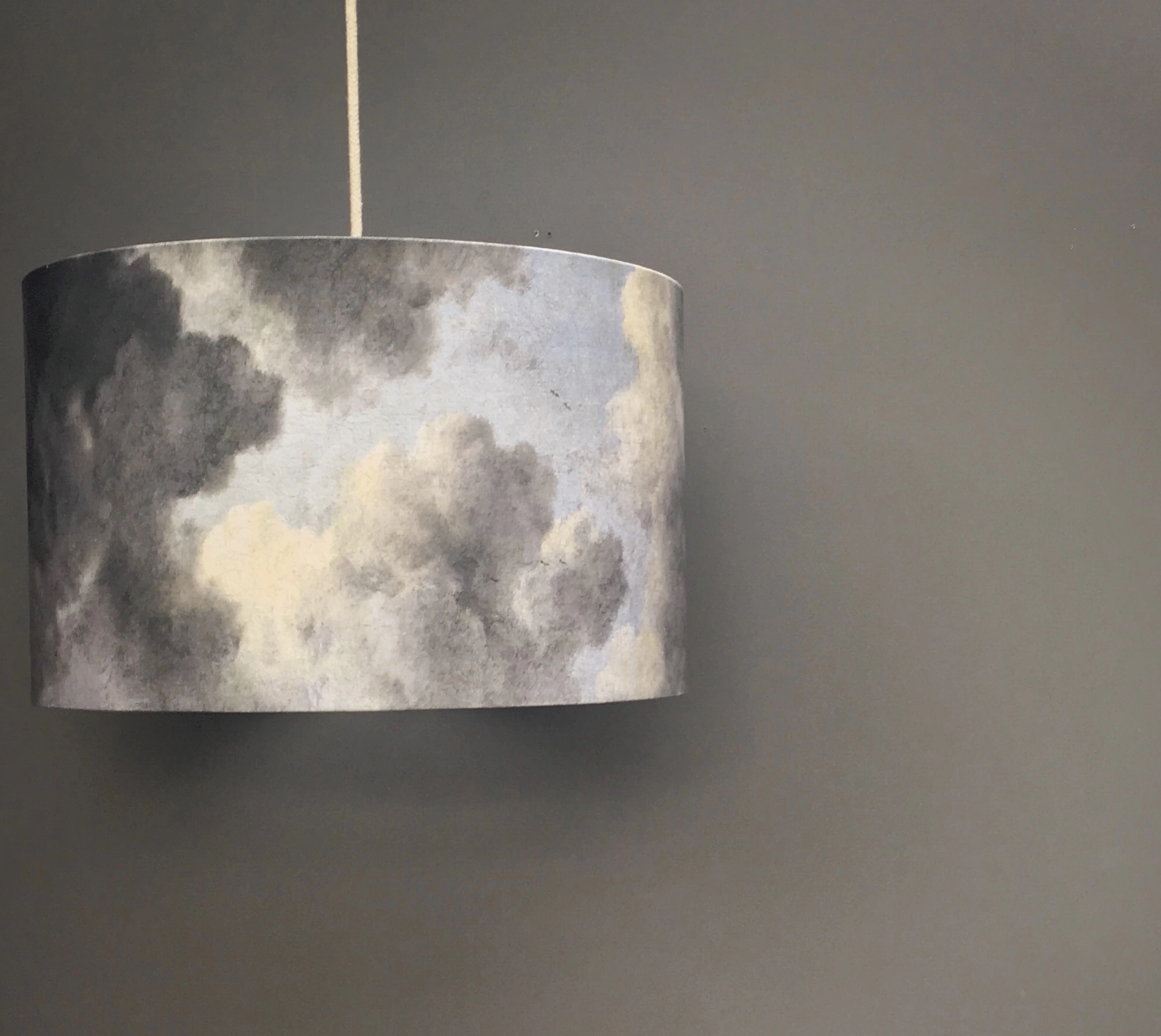 Kettle of Fish Cloud Lampshade