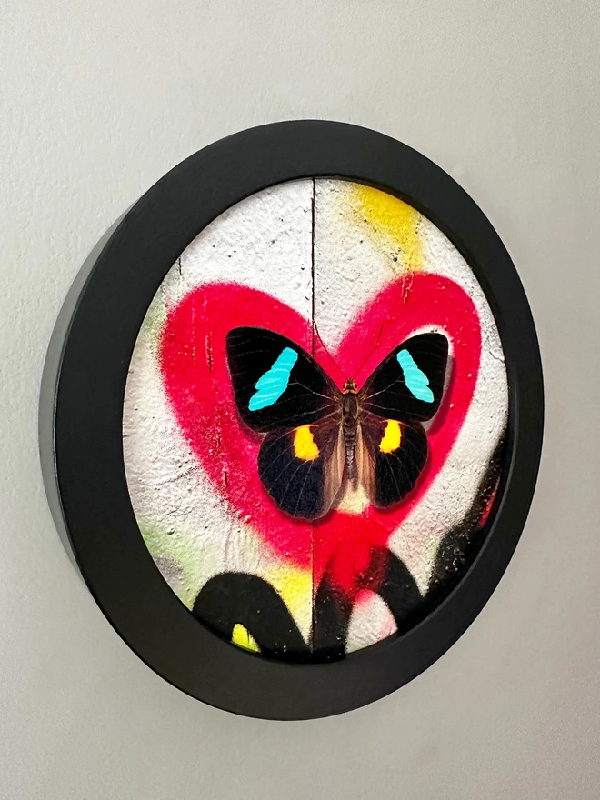 Butterfly on graffiti red heart spray paint in a black circular frame hanging on a wall