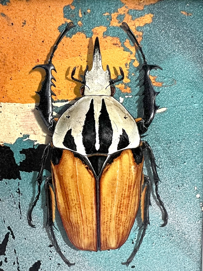 African flower beetle, Urban Abstract artwork by Evi Antonio