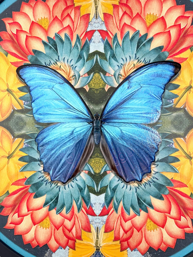 Close up detail of the blue morpho butterfly painting