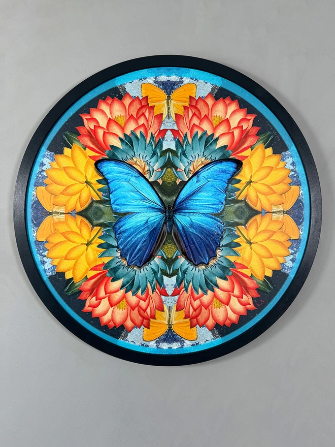 blue morpho butterfly in the centre of yellow and red lotus flowers in a black circular frame hanging on a grey wall