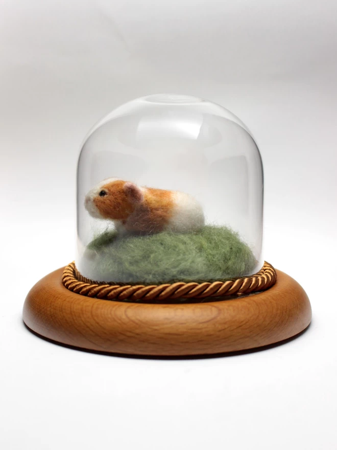 Needle-felted guinea pig sculpture in glass dome-left side 