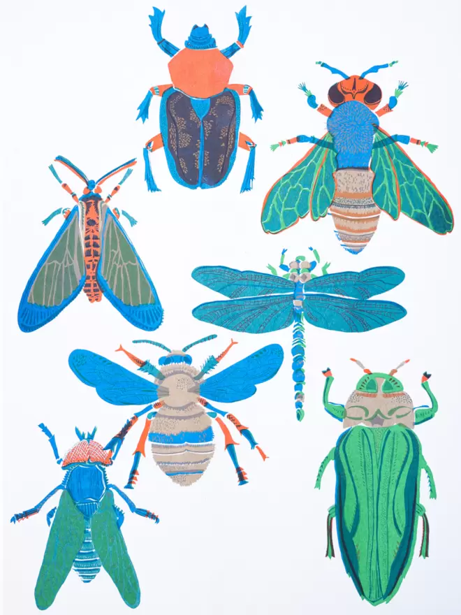 White cut-out shot: 7 different insect in shades of blue and green onto white paper 