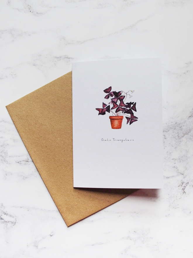 Watercolour illustrated oxalis house plant card on A6 white card, with brown kraft paper envelope tucked behind. The background is a pale white marble