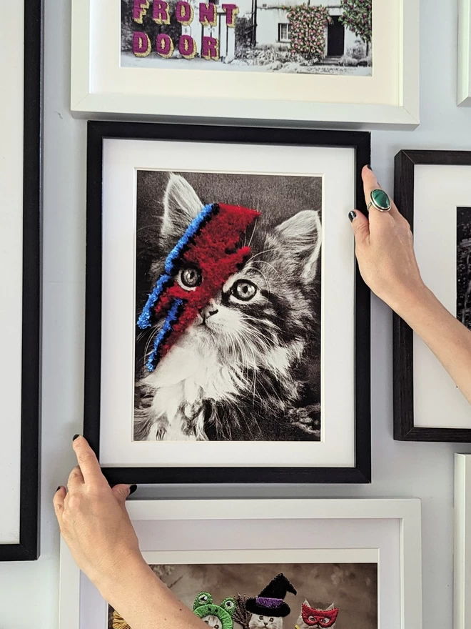 Black and white cat print with red and blue embroidered bolt in frame held on wall