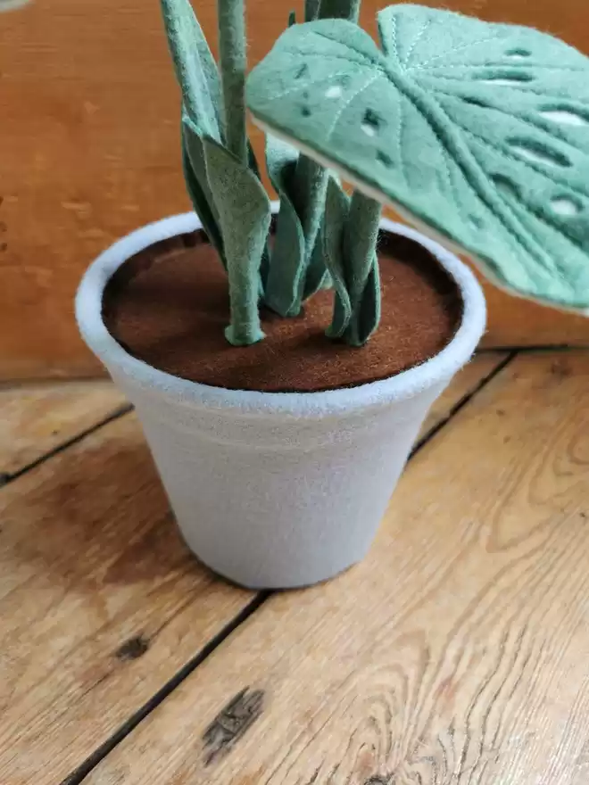 Little Egg Sage Green Spotty Begonia Felt Faux Potted Houseplant in pot.