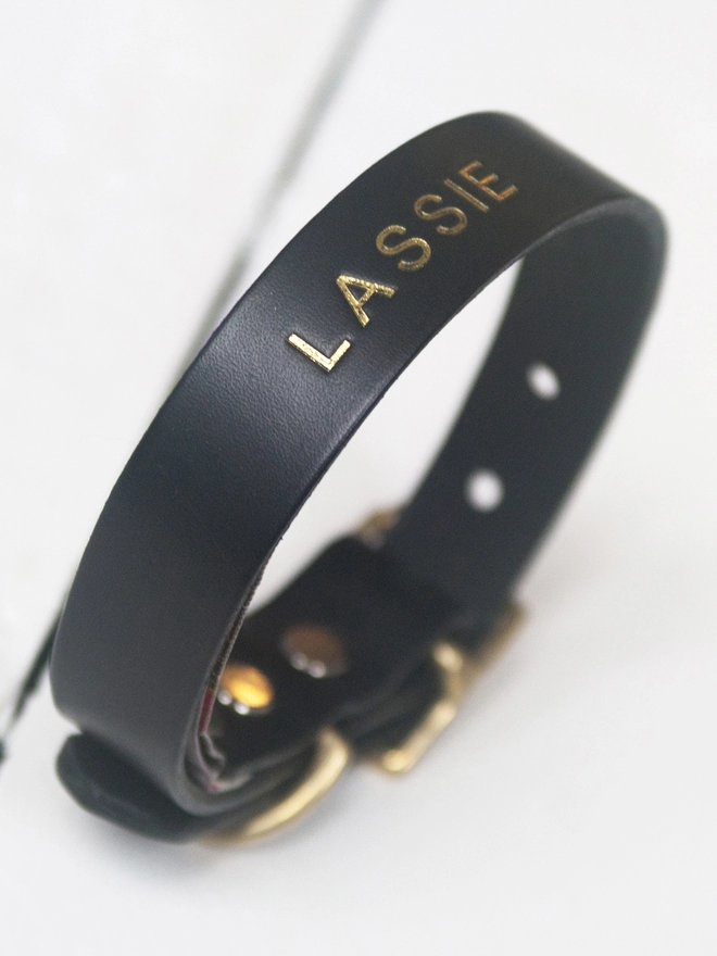 Personalised Leather Dog Collar with Your Dog's Name Printed into the Leather