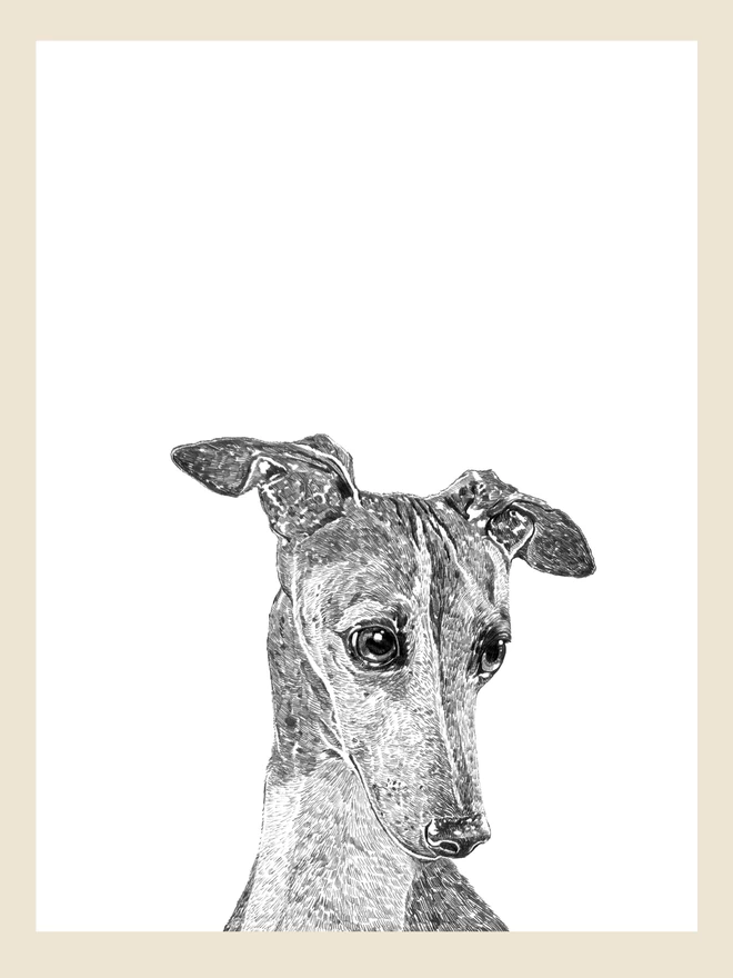 Artwork of greyhound dog art print