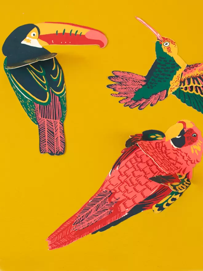 Close up of toucan, parrot and hummingbird on yellow background