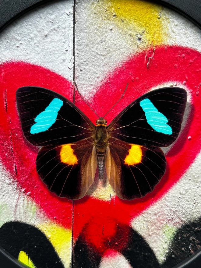Painted butterfly art on red spray paint graffiti heart, close up details