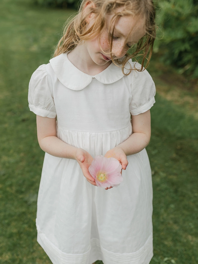 A little girl stands in a garden holding a flower with a white dress on with a peter pan collar
