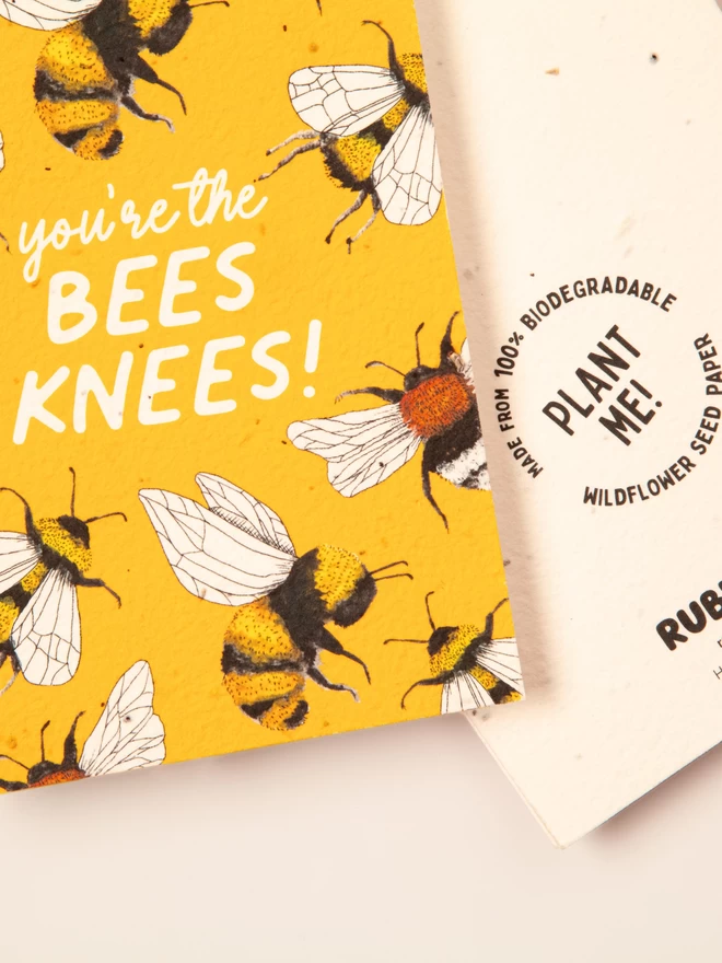 YOU'RE THE BEES KNEES PLANTABLE CARD