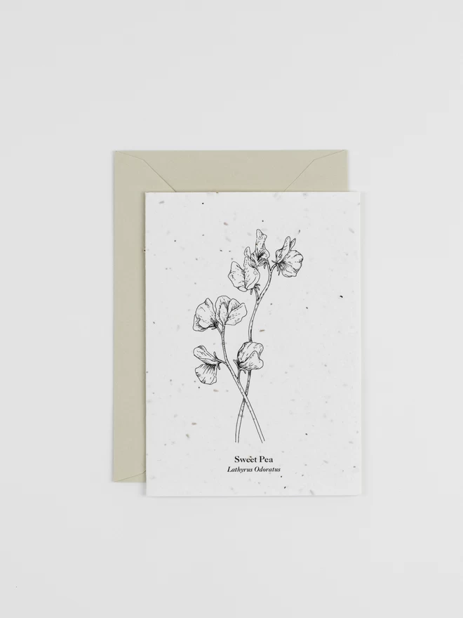 Sweet Pea April Birth Flower Plantable Card