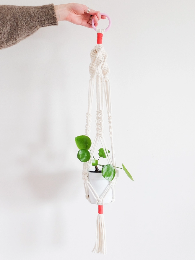 Pink and red macrame plant hanger. Shown with pilea plant.