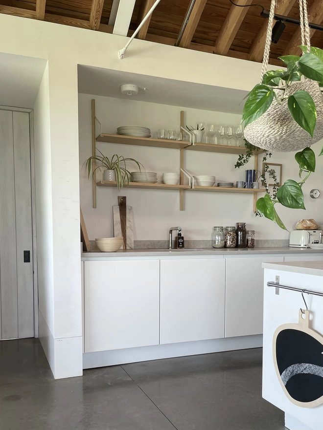 pebble in the kitchen with counter top and hanging plant