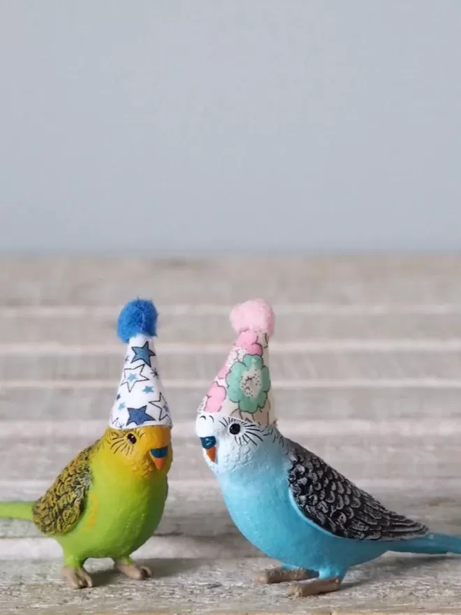 blue budgie and green budgie