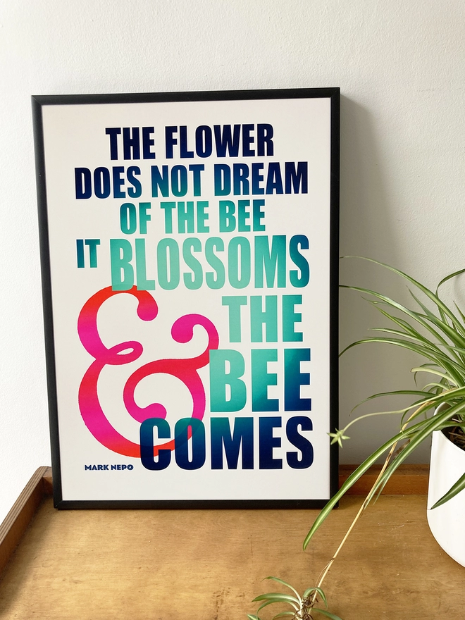 Detail from a multicoloured typographic print of “The flower does not dream of the bee, it blossoms and the bee comes” by Mark Nepo. The plant sits on a wooden shelf next to a spider plant.