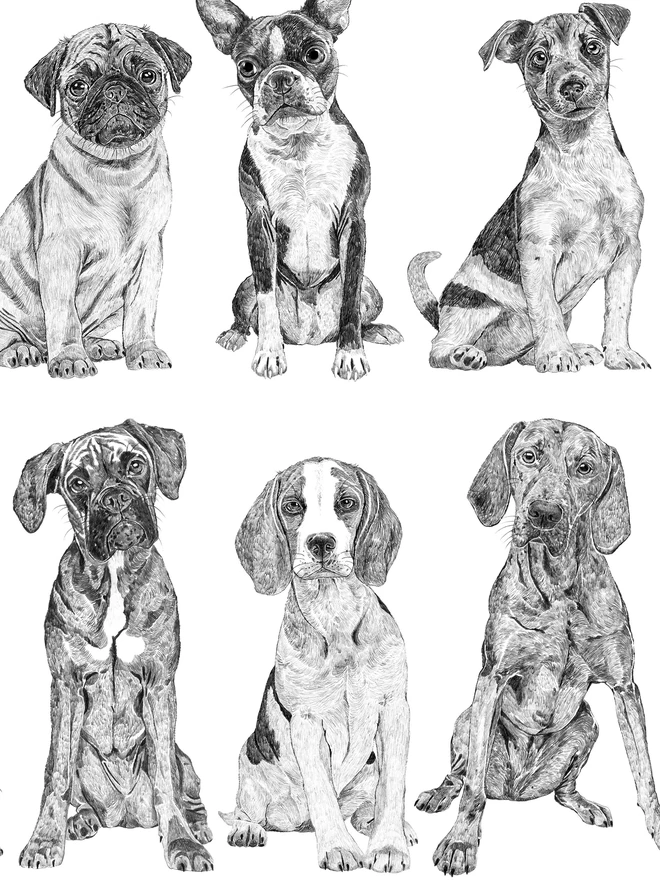 Detail of the mini dog collection art print
