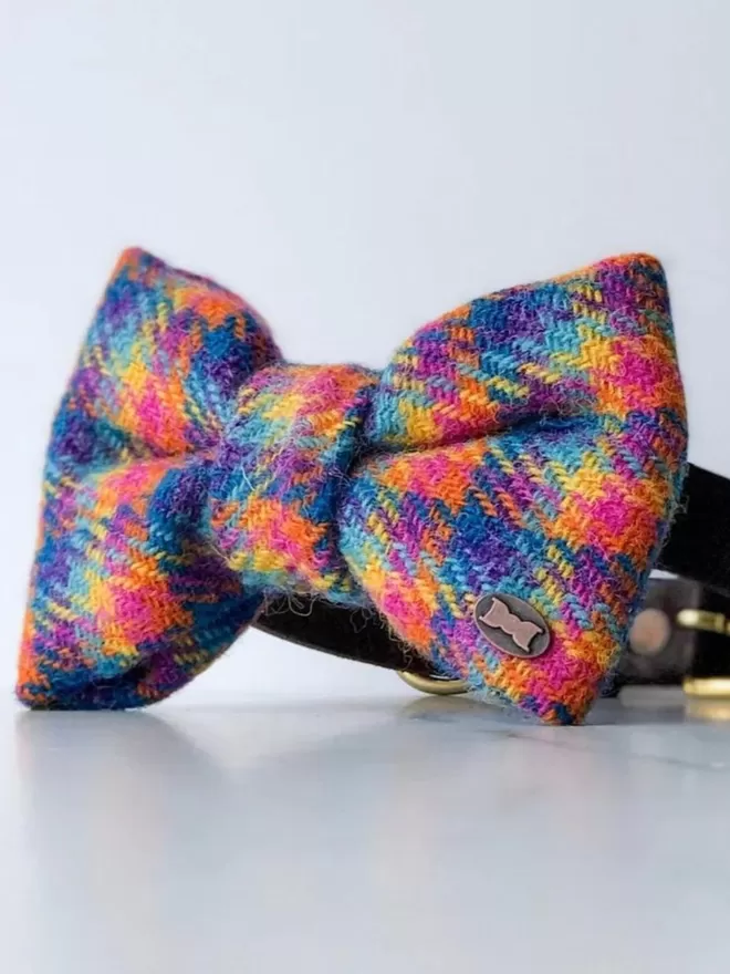 Tandy Rainbow Dog Bow Tie | Harris Tweed