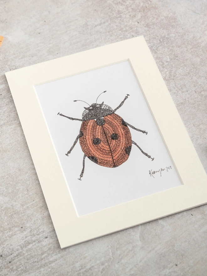 Note card with intricately patterned pen and watercolour drawing of a ladybird, in a soft white mount