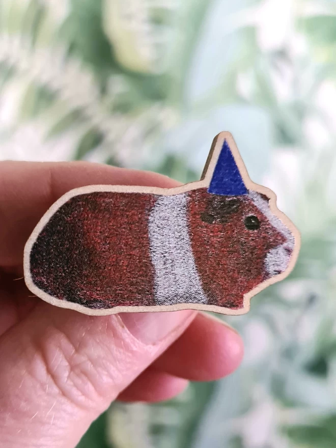 Guinea pig with a blue hat seen held by a hand.
