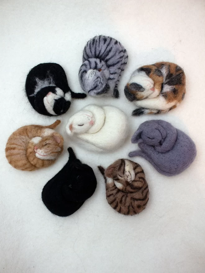 7 curled up sleeping cat brooches on a white background 