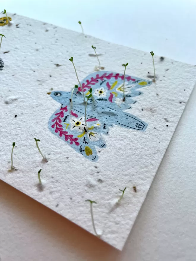 Ruby & Bo Folk Art Plantable Notecard Growing Wildflowers