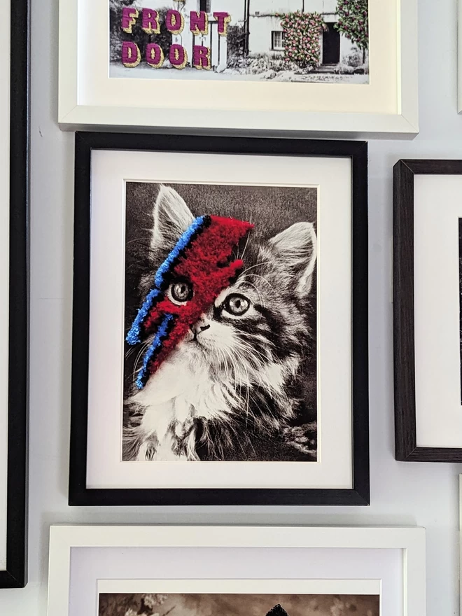 Black and white cat print with red and blue embroidered bolt in frame hung on wall