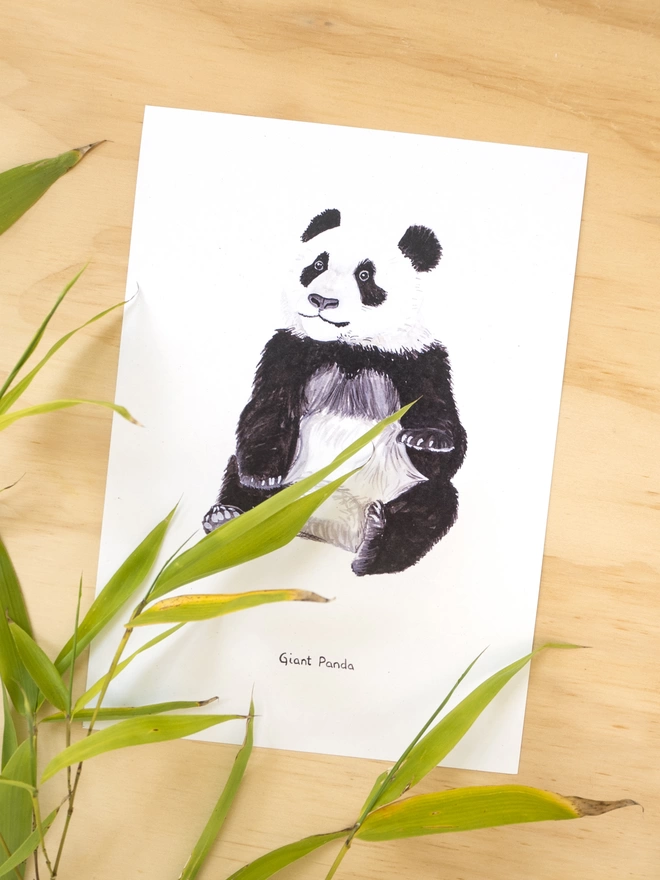 A print with a white background featuring an illustration of a young giant panda