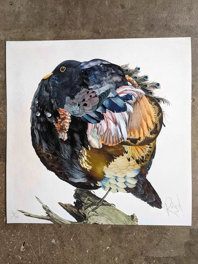 Black Bird Print in situ