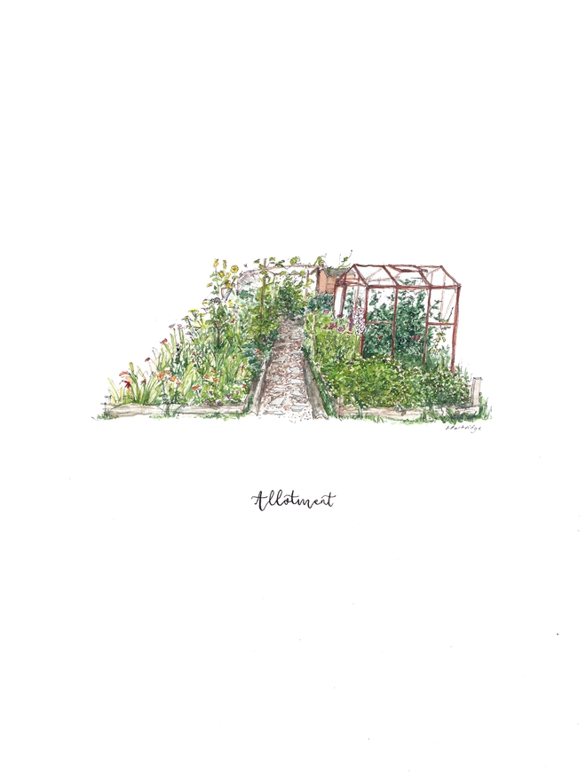 An unframed white page with a small intricate illustration of an allotment in the centre with black calligraphy hand lettering below which reads 'allotment'. There is a bark path to the centre of the painting and a green house on the right. 
