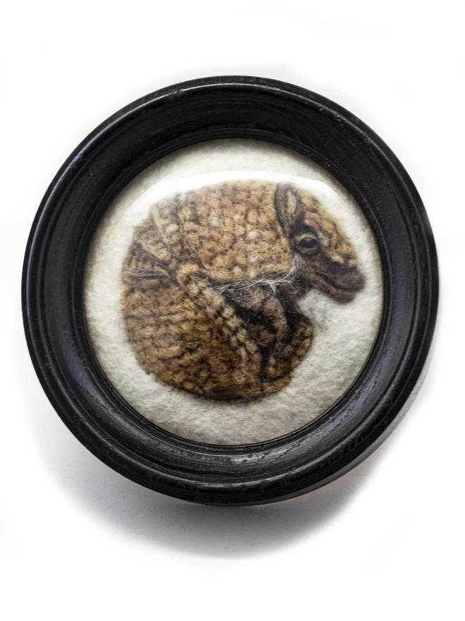 A needle-felted armadillo portrait in a round black frame