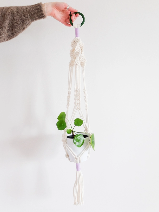 Green and lilac macrame plant hanger