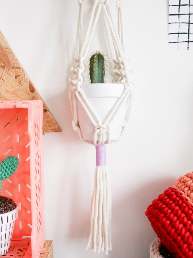 Close up of green and lilac macrame plant hanger. Shown with a small cactus in a pot.