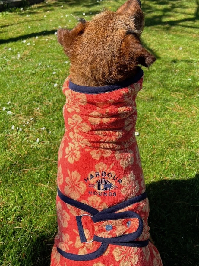 Peach Hibiscus flower dog drying robe. 100% absorbent cotton. Popper fastening, tail hole and fully belly coverage.  