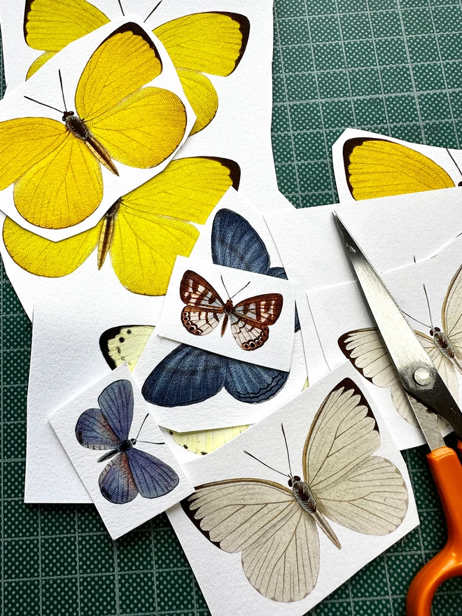 Paper butterflies printed on watercolour paper and ready to be hand cut.