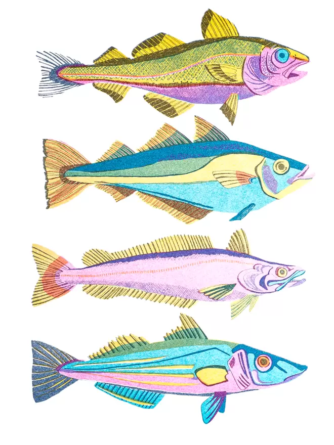 Close-up, detailed shot: 4 of the 8 fish in shades of blue and pink