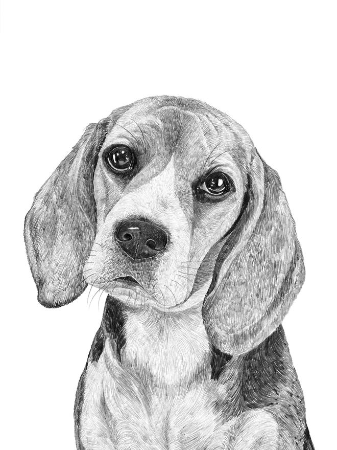 Detail of beagle art print