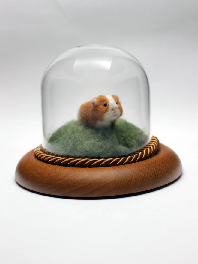 Needle-felted guinea pig sculpture in glass dome