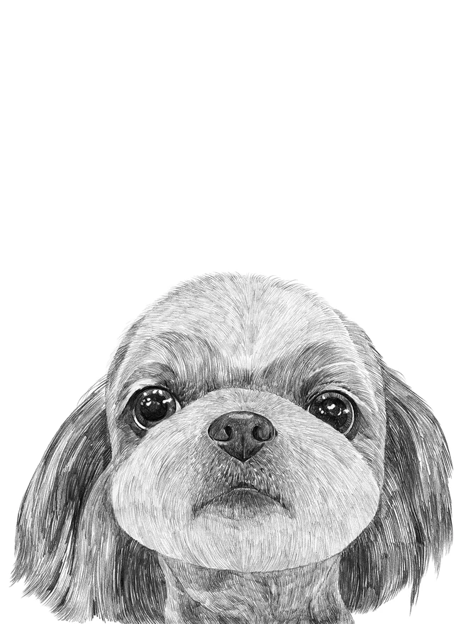 Detail of maltese dog art print
