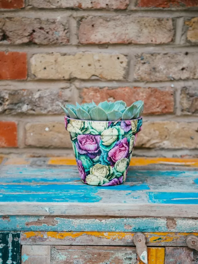 Cabbage Design Plant Pot seen on a wooden chest.