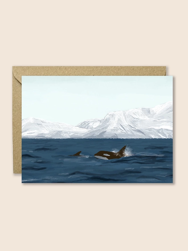 Whale Watching Card