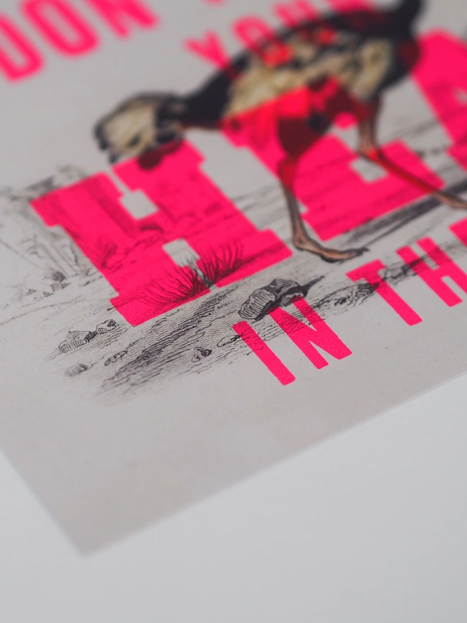 close up of hand screen printed typography in flouro pink ink