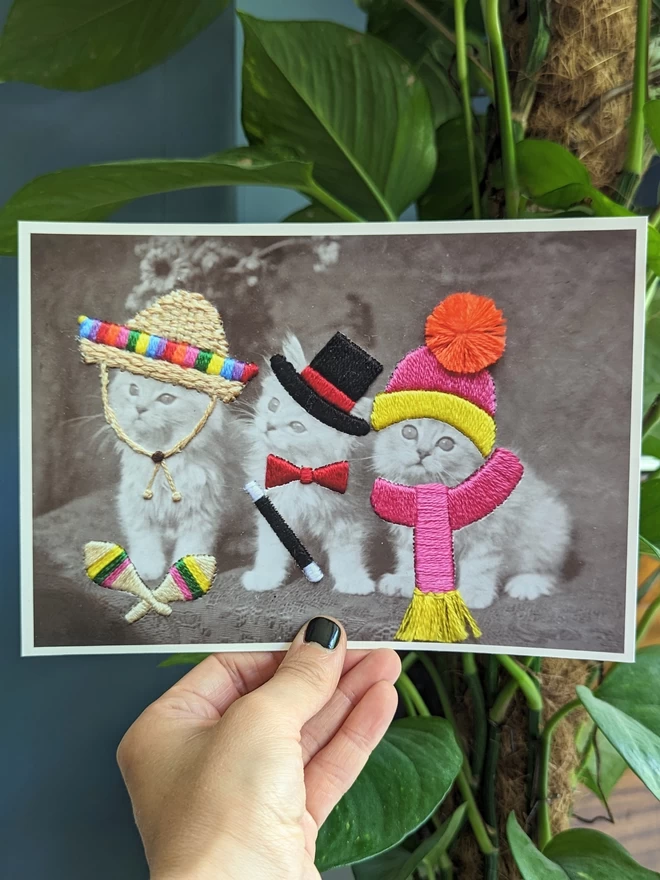B&W print, 3 cats in embroidered sombrero, top hat and bobble hat, held against blue background 