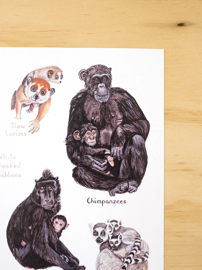 a close up of the print featuring a chimpanzee, a macaque, a slow loris and a ring tailed lemur and their babies