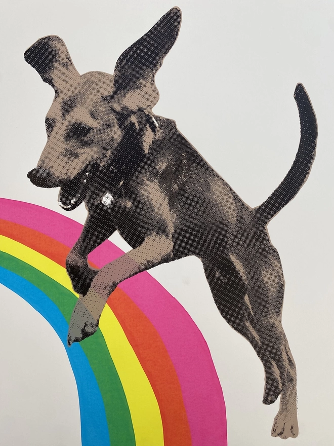 Over the rainbow hound dog screen print