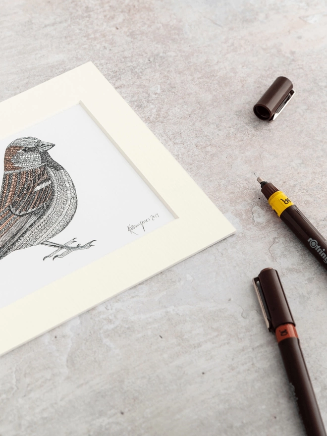 Note card with intricately patterned pen and watercolour drawing of a Sparrow bird, in a soft white mount
