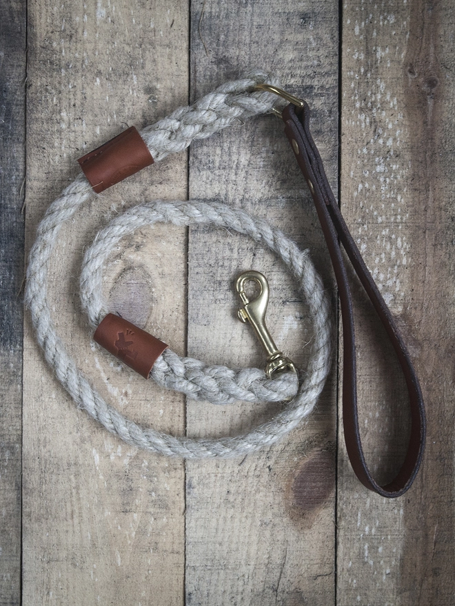 Rope and Leather Dog Lead